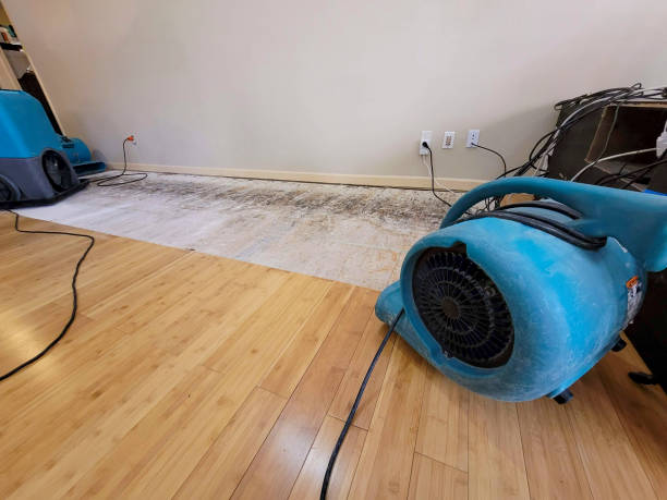 Professional Structural Drying technician working in Monee, IL